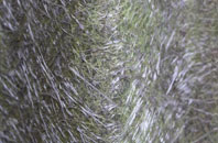 Ingoe fibreglass roof work